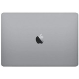 Apple G204922-007A1, Portátil gris