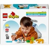 LEGO 10442, Juegos de construcción 