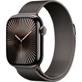 Apple MX053QF/A, SmartWatch de pizarra