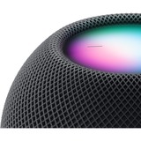 Apple MTJT3D/A, Altavoz negro