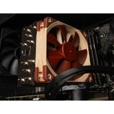 ALTERNATE AGP-SPECIAL-INT-003, Gaming-PC negro/Transparente