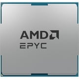 AMD EPYC™ 7302P, Procesador Tray