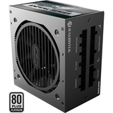 RAIJINTEK 0R30B00012, Fuente de alimentación de PC negro