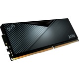 ADATA AX5U5600C4632G-SLABBK, Memoria RAM negro