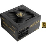 Enermax ERV1000G-AHG-MAC, Fuente de alimentación de PC 