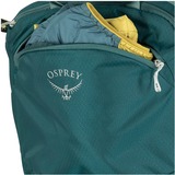 Osprey 10005969, Mochila verde oscuro