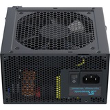 Seasonic SSR-750FM, Fuente de alimentación de PC 