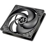 ARCTIC P12 120x120x25, Ventilador negro