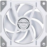 Phanteks PH-F120D30_DRGB_PWM_WT01, Ventilador blanco