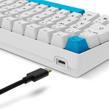 Sharkoon SKILLER SGK50 S2 PBT, Teclado para gaming blanco