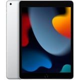 Apple iPad, Tablet PC plateado