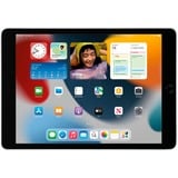 Apple iPad, Tablet PC plateado