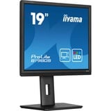 iiyama B1980S-B1, Monitor LED negro (mate)