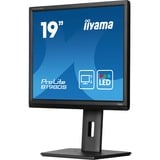 iiyama B1980S-B1, Monitor LED negro (mate)