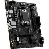 MSI PRO A620M-B, Placa base 