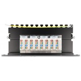 DeLOCK 66872 panel de parcheo 1U, Patch Panel negro, Cat6a, Negro, Metal, 1U, 254 mm, 100 mm