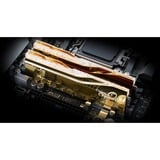 G.Skill F5-8000J3848H16GX2-TR5NG, Memoria RAM dorado