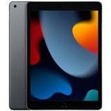 Apple iPad, Tablet PC gris