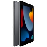 Apple iPad, Tablet PC gris