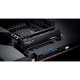 G.Skill F5-6000J3036F16GX2-FX5, Memoria RAM negro