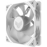 ASUS TUF GAMING TR120 ARGB, Ventilador blanco/Transparente