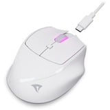 Sharkoon OfficePal M25W, Ratón blanco