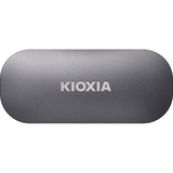 Kioxia LXD10S002TG8, Unidad de estado sólido gris