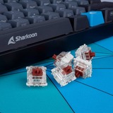 Sharkoon Gateron Pro 3.0 Brown Switch-Set, Interruptor de botón marrón/Transparente