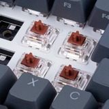 Sharkoon Gateron Pro 3.0 Brown Switch-Set, Interruptor de botón marrón/Transparente