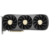 ZOTAC ZT-D40730J-10P, Tarjeta gráfica 