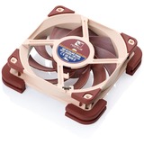 Noctua NV-MPP1.brown, Junta marrón