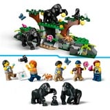 LEGO 60437, Juegos de construcción 