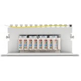 DeLOCK 66873 panel de parcheo 1U, Patch Panel gris, Cat6a, Gris, Metal, 1U, 254 mm, 100 mm