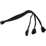 Phobya 4Pin PWM auf 3x 4Pin PWM 30cm, Cable Y negro, Molex (4-pin), Molex (4-pin), Macho, Hembra, 90°, Negro