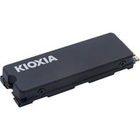 Kioxia LSC11K1T02G8, Unidad de estado sólido 