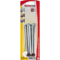 fischer F 10 M 112, Pasador plateado