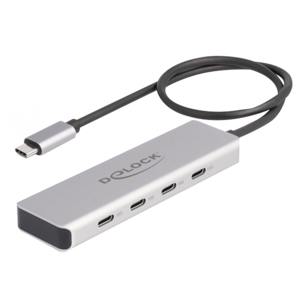 DeLOCK 64231 Hub USB gris