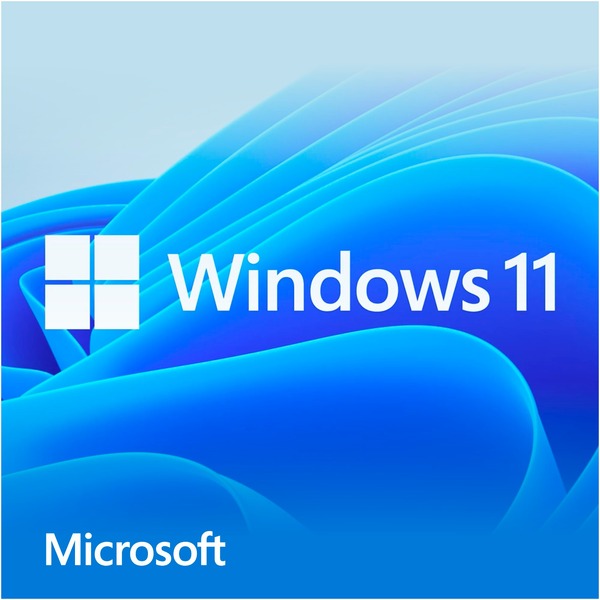 Microsoft Windows 11 Home 1 licencia(s) Software 1 licencia(s) 64 GB 4096 GB 1000 GHz Alemán DVD