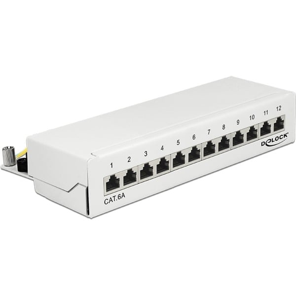 DeLOCK 87679 panel de parcheo Patch Panel blanco RJ-45 Blanco Metal Montaje en pared 218 mm 44,2 mm