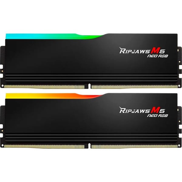 G.Skill F5-6000J3636F32GX2-RM5NRK Memoria RAM negro