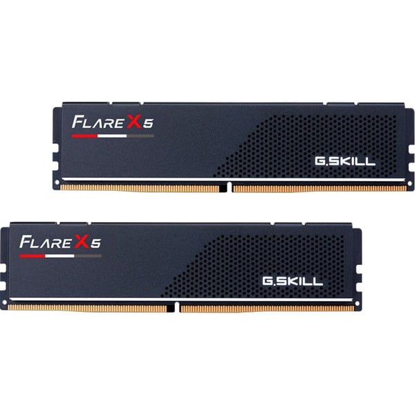 G.Skill F5-6000J3636F32GX2-FX5 Memoria RAM negro